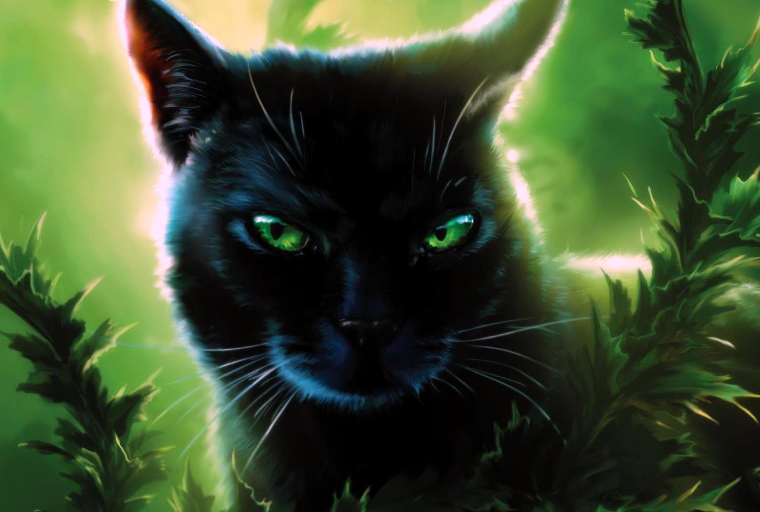 Cinéma : après Harry Potter, des chats dans une saga de fantasy